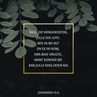 JOHANNES 15:5 - “Ek is die wingerdstok, julle die lote. Wie in My bly en Ek in hom, dra baie vrugte, want sonder My kan julle niks doen nie.