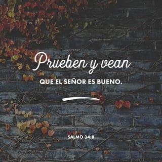 Salmos 34:8 RVR1960