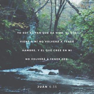 Juan 6:35 - —Yo soy el pan de vida —declaró Jesús—. El que a mí viene nunca pasará hambre y el que en mí cree nunca más volverá a tener sed.