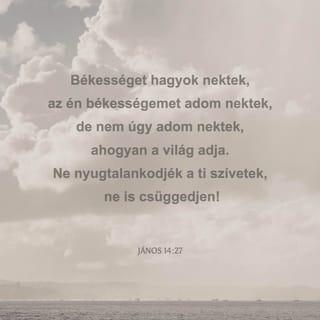 János 14:27 - Békességet hagyok nektek: az én békességemet adom nektek; de nem úgy adom nektek, ahogyan a világ adja. Ne nyugtalankodjék a ti szívetek, ne is csüggedjen.