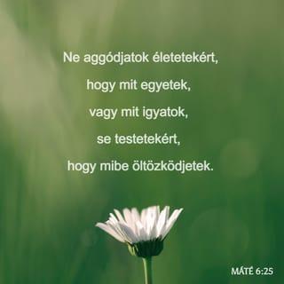 AZ ÖRÖHÍR MÁTÉ SZERINT 6:25 - Azért azt mondom nektek: Ne aggodalmaskodjatok lelketekért, hogy mit egyetek, vagy mit igyatok, se testetekért, hogy mibe öltözzetek! Nem több-e a lélek, mint az eledel s a test, mint az öltözet?