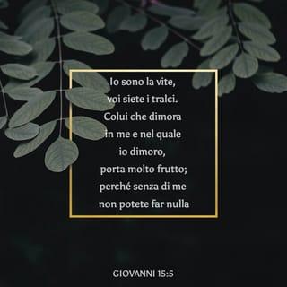 Vangelo secondo Giovanni 15:5 - Io sono la vite, voi siete i tralci. Colui che dimora in me, e nel quale io dimoro, porta molto frutto; perché senza di me non potete fare nulla.