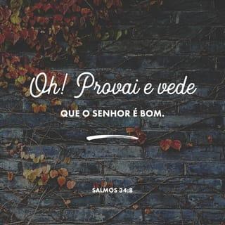 Salmos 34:8 - Provai e vede que o SENHOR é bom; bem-aventurado o homem que nele confia.