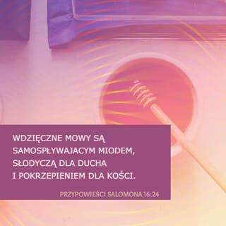 Przypowieści Salomonowych 16:24 - Powieści wdzięczne są jako plastr miodu, słodkością duszy, a lekarstwem kościom.