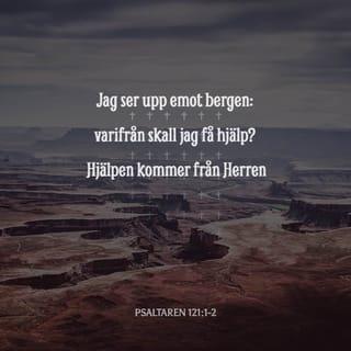 Psaltaren 121:1-2 - En vallfartssång.

Jag ser upp emot bergen:
varifrån skall jag få hjälp?
Hjälpen kommer från Herren,
som har gjort himmel och jord.