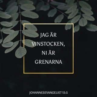 Johannes 15:5 - Jag är vinstocken och ni är grenarna. Om någon är kvar i mig och jag i honom bär han mycket frukt, men utan mig kan ni inget göra.