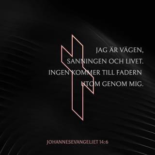 Johannes 14:6 - Jesus svarade honom: »Jag är vägen och sanningen och livet; ingen kommer till Fadern utom genom mig.