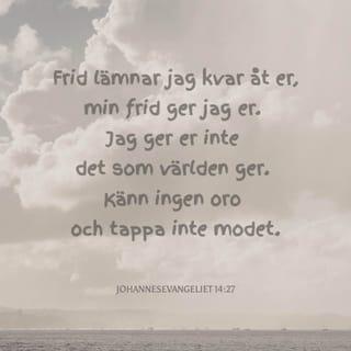 Johannes 14:27 - Frid lämnar jag efter mig åt eder, min frid giver jag eder; icke giver jag eder den såsom världen giver. Edra hjärtan vare icke oroliga eller försagda.