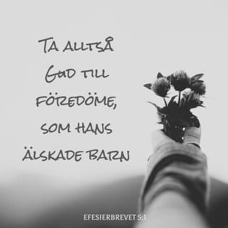 Ephesians 5:1-2 - Follow God’s example, therefore, as dearly loved children and walk in the way of love, just as Christ loved us and gave himself up for us as a fragrant offering and sacrifice to God.