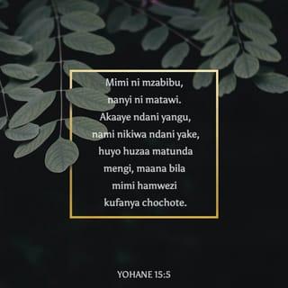 Yohana 15:5 - Mimi ni mzabibu; ninyi ni matawi, akaaye ndani yangu nami ndani yake, huyo huzaa sana; maana pasipo mimi ninyi hamuwezi kufanya neno lolote.