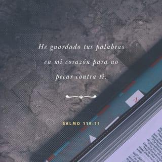 Salmos 119:10-11 - Yo te busco de todo corazón
y llevo tu palabra en mi pensamiento.
Manténme fiel a tus enseñanzas
para no pecar contra ti.