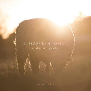 Salmos 23:1-6 - Jehová es mi pastor; nada me faltará.
En lugares de delicados pastos me hará descansar;
Junto a aguas de reposo me pastoreará.
Confortará mi alma;
Me guiará por sendas de justicia por amor de su nombre.

Aunque ande en valle de sombra de muerte,
No temeré mal alguno, porque tú estarás conmigo;
Tu vara y tu cayado me infundirán aliento.
Aderezas mesa delante de mí en presencia de mis angustiadores;
Unges mi cabeza con aceite; mi copa está rebosando.
Ciertamente el bien y la misericordia me seguirán todos los días de mi vida,
Y en la casa de Jehová moraré por largos días.