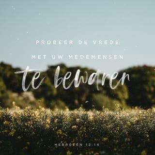 Hebreeën 12:14 - Jaag de vrede na met allen, en de heiliging, zonder welke niemand de Heere zal zien.