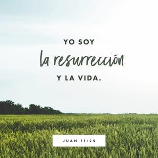 Juan 11:25-26 - A esto Jesús respondió:

—Yo soy el que da la vida y el que hace que los muertos vuelvan a vivir. Quien pone su confianza en mí, aunque muera, vivirá. Los que todavía viven y confían en mí, nunca morirán para siempre. ¿Puedes creer esto?