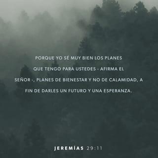 Jeremías 29:11 - Pues yo sé los planes que tengo para ustedes —dice el SEÑOR—. Son planes para lo bueno y no para lo malo, para darles un futuro y una esperanza.