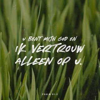 Psalmen 91:2 - Ik getuig daarvan en zeg tegen de HERE:
U bent mijn toevlucht,
bij U ben ik veilig en geborgen.
U bent mijn God
en ik vertrouw alleen op U.