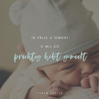 Psalmen 139:14 - Ik prijs U, omdat U mij zo prachtig hebt gemaakt.
Alles wat U doet, is wonderbaarlijk.
Alles in mij getuigt daarvan.