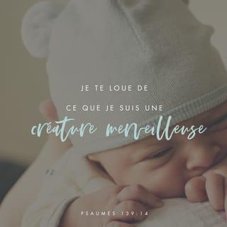 Psaumes 139:14-16 - SEIGNEUR, je te dis merci parce que tu m’as créé.
Oui, mon corps est étonnant et très beau.
Ce que tu fais est magnifique, je le reconnais.
Quand tu me formais dans le secret,
quand tu me brodais dans la profondeur de la terre,
tu voyais tout, rien n’était caché pour toi.
J’étais à peine formé, tu me voyais déjà !
Déjà, tu avais écrit dans ton livre le nombre de jours que tu allais me donner,
et pourtant, aucun n’avait encore commencé !