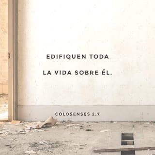 Colosenses 2:6-7 - Por tanto, de la manera que habéis recibido al Señor Jesucristo, andad en él; arraigados y sobreedificados en él, y confirmados en la fe, así como habéis sido enseñados, abundando en acciones de gracias.