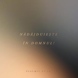 Psalmul 27:14 - Nădăjduiește în Domnul!
Fii tare, îmbărbătează-ți inima
și nădăjduiește în Domnul!