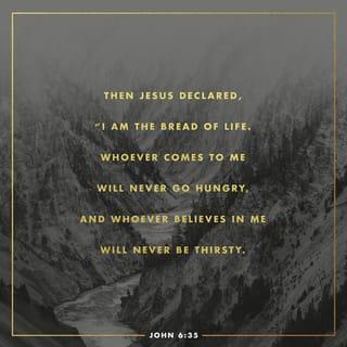 John 6:35 - Jesus replied, “I am the bread of life. Whoever comes to me will never be hungry again. Whoever believes in me will never be thirsty.