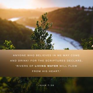 John 7:38 - Whoever believes in me, as the Scripture has said, ‘Out of his heart will flow rivers of living water.’”