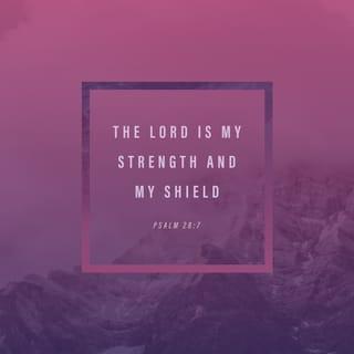 Psalm 28:6-8 - Blessed be the LORD!
For he has heard the voice of my pleas for mercy.
The LORD is my strength and my shield;
in him my heart trusts, and I am helped;
my heart exults,
and with my song I give thanks to him.

The LORD is the strength of his people;
he is the saving refuge of his anointed.