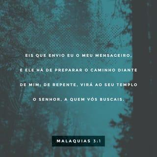 Malaquias 3:1 - Eis que eu envio o meu anjo, que preparará o caminho diante de mim; e, de repente, virá ao seu templo o Senhor, a quem vós buscais, o anjo do concerto, a quem vós desejais; eis que vem, diz o SENHOR dos Exércitos.