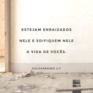 Colossenses 2:6-7 - Portanto, já que vocês aceitaram Cristo Jesus como Senhor, vivam unidos com ele. Estejam enraizados nele, construam a sua vida sobre ele e se tornem mais fortes na fé, como foi ensinado a vocês. E deem sempre graças a Deus.