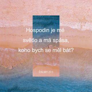 Žalmy 27:1-14 - Žalm Davidův.
Hospodin je mé světlo a má spása,
koho bych se měl bát?
Hospodin je síla mého života,
z koho bych měl mít strach?

Když na mě útokem táhnou bídáci,
aby mé tělo zhltali,
moji nepřátelé a mí protivníci
sami vrávorají a padají.
I když se proti mně vojsko utáboří,
mé srdce se toho neleká;
i kdyby proti mně vypukla válka,
i tehdy se budu spoléhat.

Žádal jsem Hospodina o jediné,
po tom jsem toužit nikdy nepřestal:
Abych směl zůstávat v jeho domě
po všechny dny svého života,
abych se kochal v Hospodinově kráse
a v jeho chrámě jej hledal.

Neboť mě skryje ve svém příbytku,
když nastane zlý den,
schová mě ve skrýši svého stanu
a na skálu mě vyzdvihne.
Tehdy má hlava bude vyvýšena
nad mé nepřátele ze všech stran;
v jeho stanu budu s jásotem obětovat,
Hospodinu budu zpívat a hrát!

Slyš mě, Hospodine, hlasitě volám,
smiluj se nade mnou, vyslyš mě.
O tobě přemítá mé srdce,
že říkáš: „Hledejte mou tvář!“
Tvou tvář tedy hledám, Hospodine,
neskrývej přede mnou svou tvář!
Svého služebníka v hněvu neodmítej,
býval jsi přece mou pomocí!
Nenechávej mě a neopouštěj,
Bože mé záchrany!

Můj otec i matka mě sice opustili,
Hospodin mě ale k sobě přivine.
Ukaž mi, Hospodine, cestu svou,
kvůli mým nepřátelům veď mě
stezkou srovnanou!
Nevydej mě prosím zvůli mých nepřátel –
povstali proti mně lživí svědkové
a krutě obviňují mě!
Kéž mohu věřit, že na zemi mezi živými
uvidím, jak dobrý je Hospodin!

Spoléhej na Hospodina,
buď statečný a on tě posilní.
Spoléhej na Hospodina!