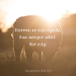 Salmernes Bog 23:1 BPH