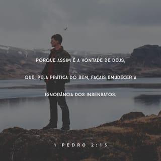 1Pedro 2:15 - Pois é da vontade de Deus que, pela prática do bem, vocês silenciem a ignorância dos insensatos.