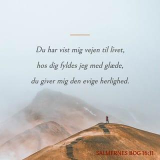 Salmernes Bog 16:11 - Du har vist mig vejen til livet,
hos dig fyldes jeg med glæde,
du giver mig den evige herlighed.