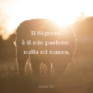 Salmi 23:1 - Salmo di Davide.
Il SIGNORE è il mio pastore: nulla mi manca.