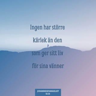 Johannes 15:13 - Det finns ingen större kärlek än att man offrar sitt liv för sina vänner.