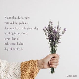 Mika 6:8 - Nej, vad gott är har han kungjort för dig, o människa.  Ty vad annat begär HERREN av dig,  än att du gör vad rätt är och vinnlägger dig om kärlek  och vandrar i ödmjukhet inför din Gud?