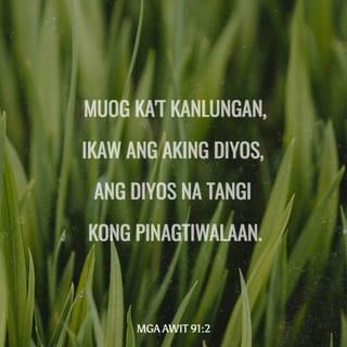 MGA AWIT 91:1-4 - Siyang tumatahan sa lihim na dako ng Kataastaasan.
Ay mananatili sa lilim ng Makapangyarihan sa lahat.
Aking sasabihin tungkol sa Panginoon, Siya'y aking kanlungan at aking katibayan,
Ang Dios ko na siyang aking tinitiwalaan.
Sapagka't kaniyang ililigtas ka sa silo ng paninilo,
At sa mapamuksang salot.
Kaniyang tatakpan ka ng kaniyang mga bagwis,
At sa ilalim ng kaniyang mga pakpak ay manganganlong ka:
Ang kaniyang katotohanan ay kalasag at baluti.