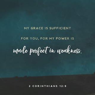 2 Corinthians 12:9 - But he said to me, “My grace is sufficient for you, for my power is made perfect in weakness.” Therefore I will boast all the more gladly about my weaknesses, so that Christ’s power may rest on me.