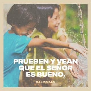 Salmos 34:8 RVR1960