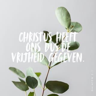 Galaten 5:1 - Leef dus in de vrijheid die Christus ons gegeven heeft. Laat je niet opnieuw tot slaven maken van wetten en regels.