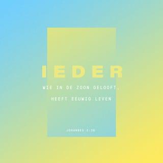 Het Evangelie van Johannes 3:36 - Die in den Zoon gelooft, die heeft het eeuwige leven; maar die den Zoon ongehoorzaam is, die zal het leven niet zien, maar de toorn Gods blijft op hem.