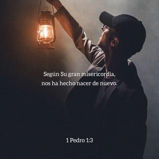 1 Pedro 1:3-4 - Bendito sea el Dios y Padre de nuestro Señor Jesucristo, que por su gran misericordia y mediante la resurrección de Jesucristo nos ha hecho nacer de nuevo a una esperanza viva,
para que recibamos una herencia incorruptible, incontaminada e imperecedera. Esta herencia les está reservada en los cielos