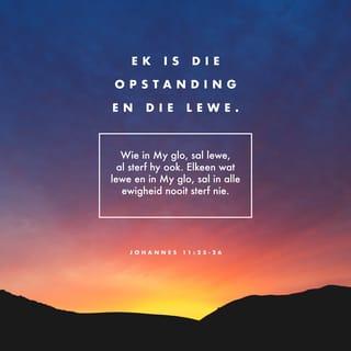 JOHANNES 11:25 - Toe sê Jesus vir haar: “Ek is die opstanding en die lewe. Wie in My glo, sal lewe, al sterwe hy ook