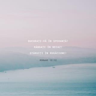 Romani 12:12 VDC