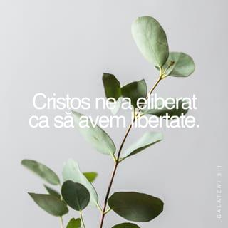 Galateni 5:1 VDC