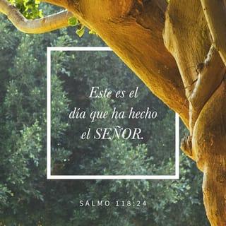 Salmo 118:24 - Este es el día que hizo el SEÑOR;
regocijémonos y alegrémonos en él.