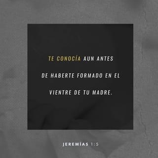 Jeremías 1:4-10 - La palabra del SEÑOR vino a mí y me dijo:
«Antes de formarte en el vientre, ya te había elegido;
antes de que nacieras, ya te había apartado;
te había nombrado profeta para las naciones».
Yo respondí:
«¡Ah, mi SEÑOR y Dios! ¡Soy muy joven y no sé hablar!».
Pero el SEÑOR me dijo:
«No digas: “Soy muy joven”, porque vas a ir adondequiera que yo te envíe y vas a decir todo lo que yo te ordene. No tengas temor delante de ellos que yo estoy contigo para librarte», afirma el SEÑOR.
Luego extendió el SEÑOR la mano y, tocándome la boca, me dijo:
«He puesto en tu boca mis palabras. Mira, hoy te doy autoridad sobre naciones y reinos, para arrancar y derribar, para destruir y demoler, para construir y plantar».