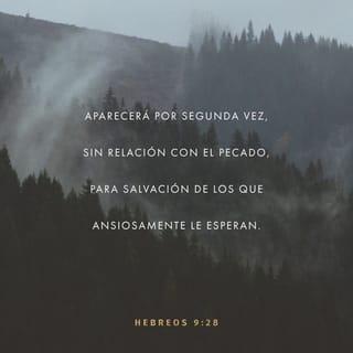 Hebreos 9:28 - también Cristo fue ofrecido en sacrificio una sola vez para quitar los pecados de muchos. Aparecerá por segunda vez ya no para cargar con pecado alguno, sino para traer salvación a quienes lo esperan.