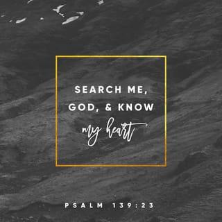 Psalms 139:22-24 - I feel only hate for them;
they are my enemies.
God, examine me and know my heart;
test me and know my anxious thoughts.
See if there is any bad thing in me.
Lead me on the road to everlasting life.