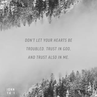 John 14:1 - Jesus said, “Don’t let your hearts be troubled. Trust in God, and trust in me.